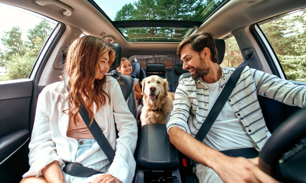 The whole family is driving for the weekend. Mom and Dad with their daughter and a Labrador dog are sitting in the car. 