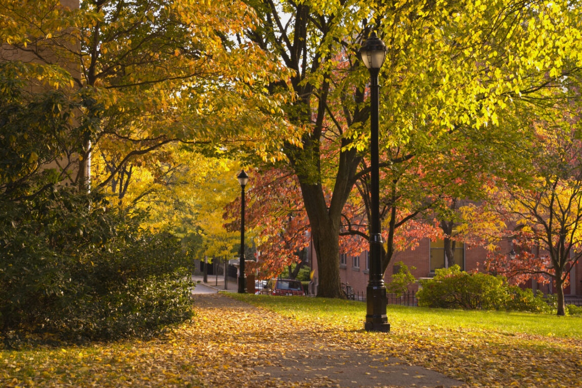 Here’s how to help your clients prepare for fall withdrawals