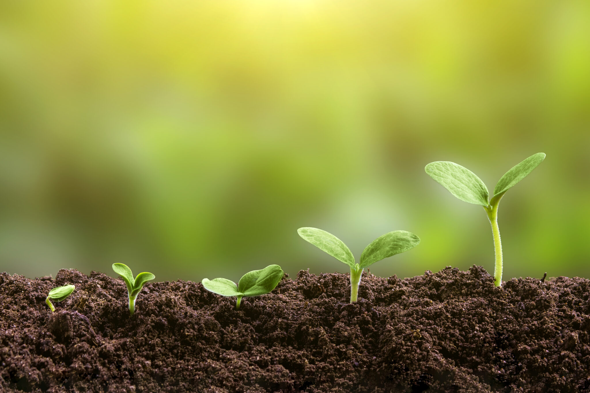 Qualified education expenses expand with recent legislation - my529