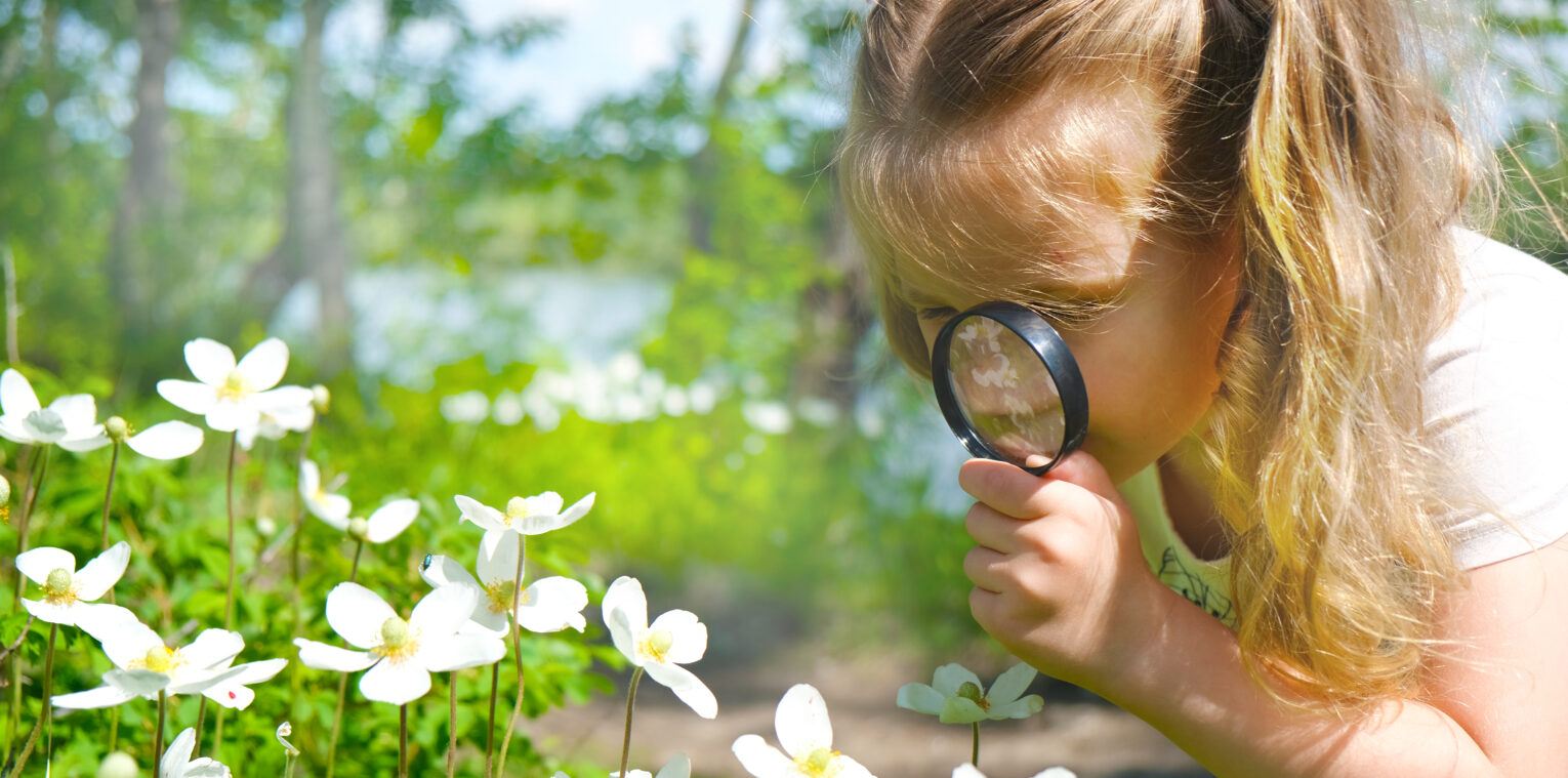 Plant your college savings this spring